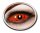 Sclera Kontaktlinsen full red eye 22mm