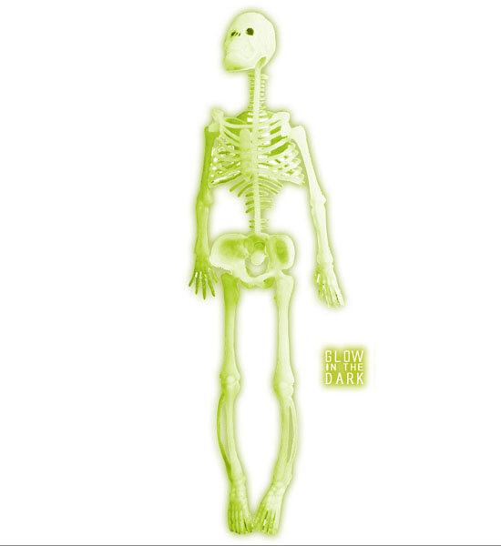 Halloween Skelett 32 cm